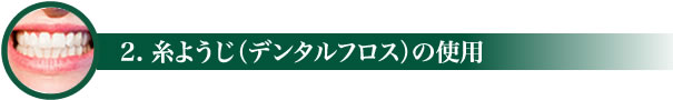 2.糸ようじ（デンタルフロス）の使用